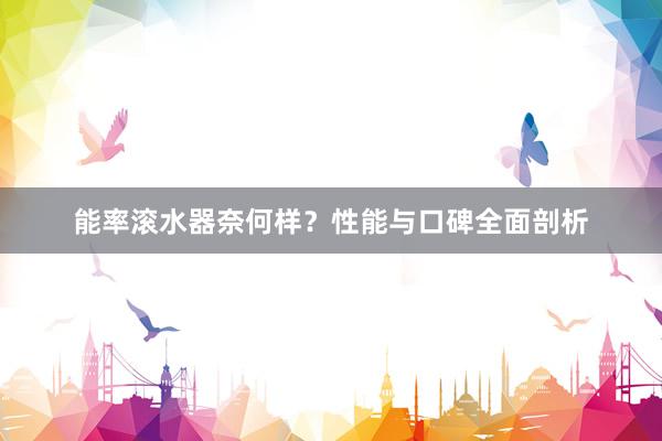 能率滚水器奈何样?性能与口碑全面剖析