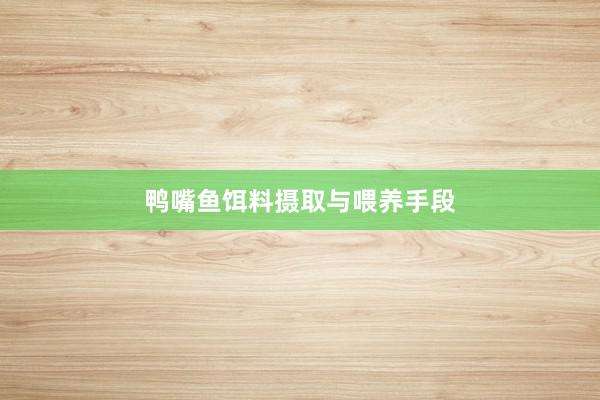 鸭嘴鱼饵料摄取与喂养手段